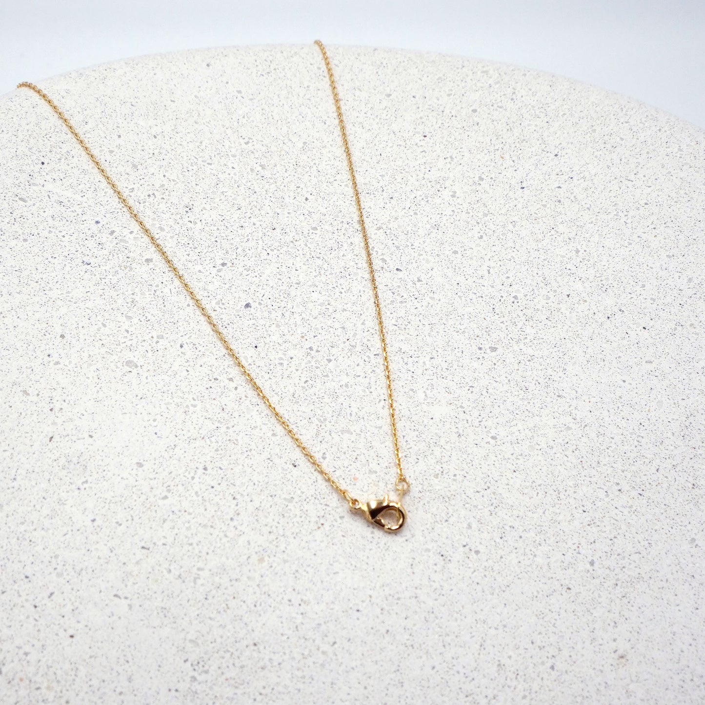 Golden Hoop Necklace